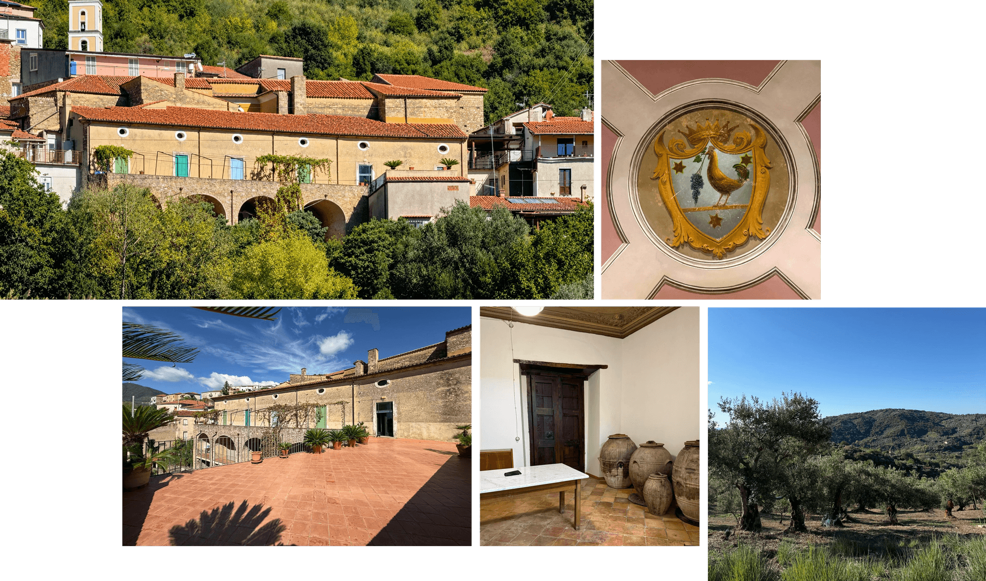Palazzo Musto in Acquavella: the facade in the village, the terraces over the hills, the front door on Via Roma and the room with the ancient oil jars