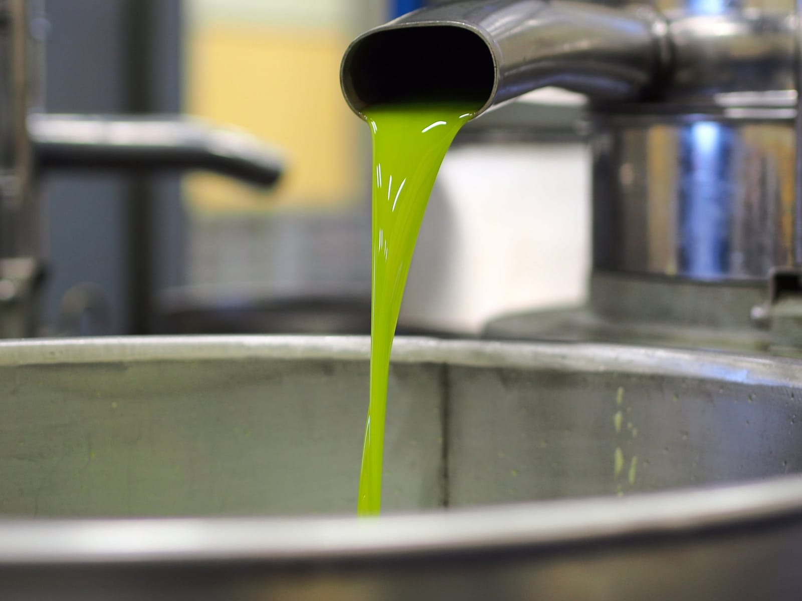 Freshly cold-pressed extra virgin olive oil flowing from the separator at the mill